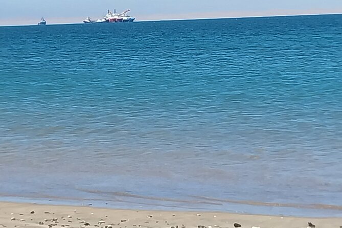 Seal Kayaking at Pelican Point from Swakopmund - The pink salt lakes and Walvis Bay’s salt works