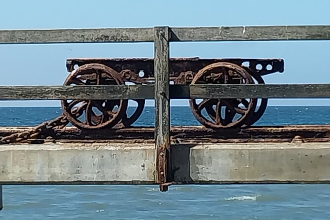 Seal Kayaking at Pelican Point from Swakopmund - What the $83.08 price really covers