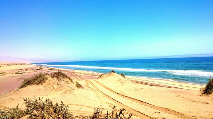 Self-Drive Guided Tour to Sandwich Harbour - Following the Kuiseb River delta toward open desert