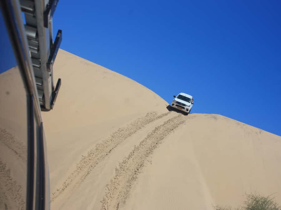 Self-Drive Guided Tour to Sandwich Harbour - What the $650 group price really covers