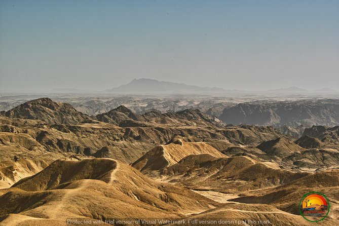 Shore Excursion - Flamingos ,Dune7,Welwitschia, Moonlandscape,Oasis,Swakopmund. - Who will get the most from this excursion