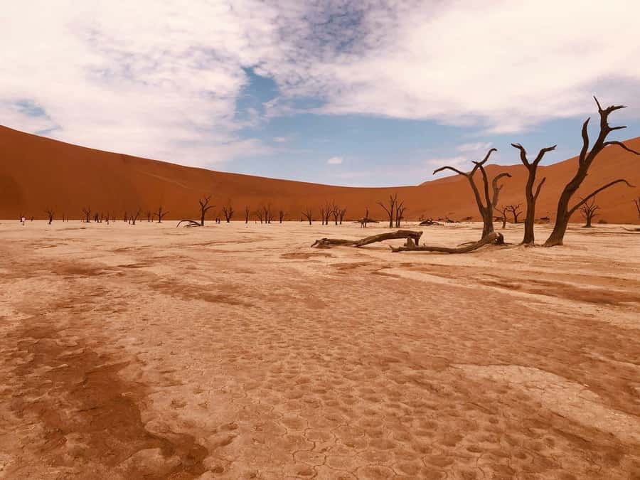 Sossusvlei: Day Trip - Key Things to Know Before You Go