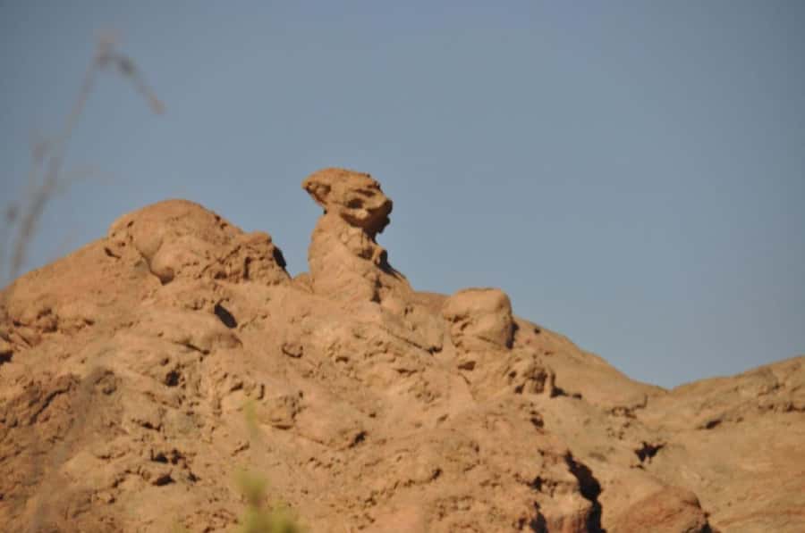 Spitzkoppe & Desert Magic: Arches, Art & Sunset Views - Welwitschia Plains and a plant built for survival