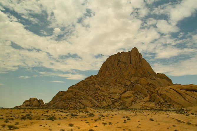 Spitzkoppe Guided Tour from Swakopmund or Walvis Bay - Rock art, desert plants, and small creatures at Spitzkoppe
