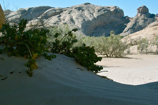 Swakop River Valley & Spitzkoppe Full Day 4x4 tour from Walvis Bay - Dorob National Park and the first hour outdoors