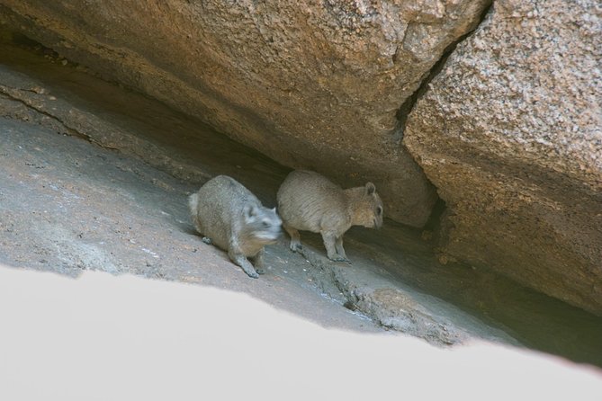 Swakop River Valley & Spitzkoppe Full Day 4x4 tour from Walvis Bay - Spitzkoppe, rock paintings, and broad views
