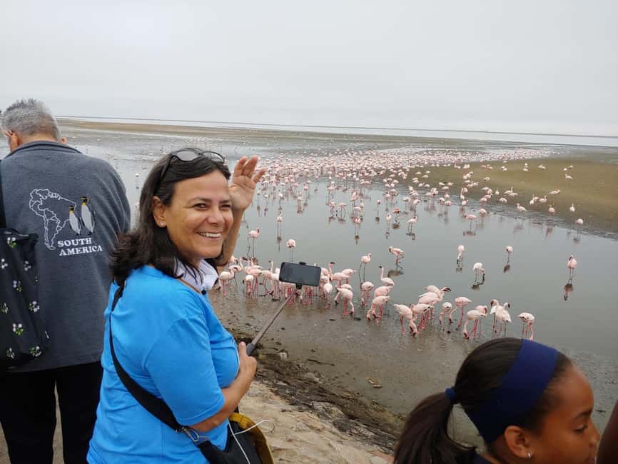 swakopmund city tour dune 7 pink lake pink flamingos - The guides can make or break the day