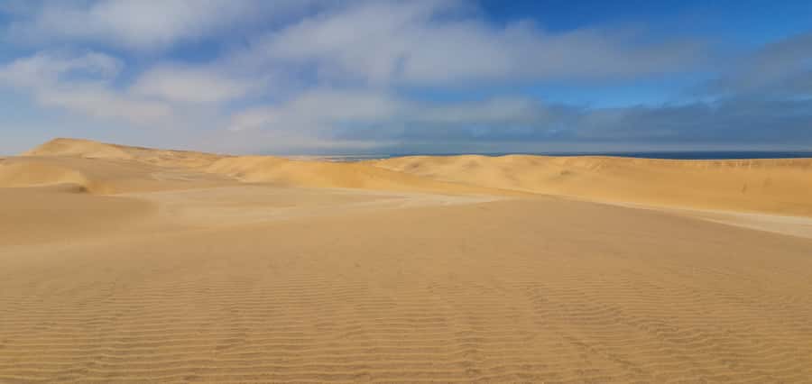 Swakopmund: Desert Dunes Quad Biking with Optional Sandboard - The guides are part of the experience