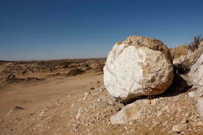 Moon Valley and Namib Desert Welwitschia Tour
