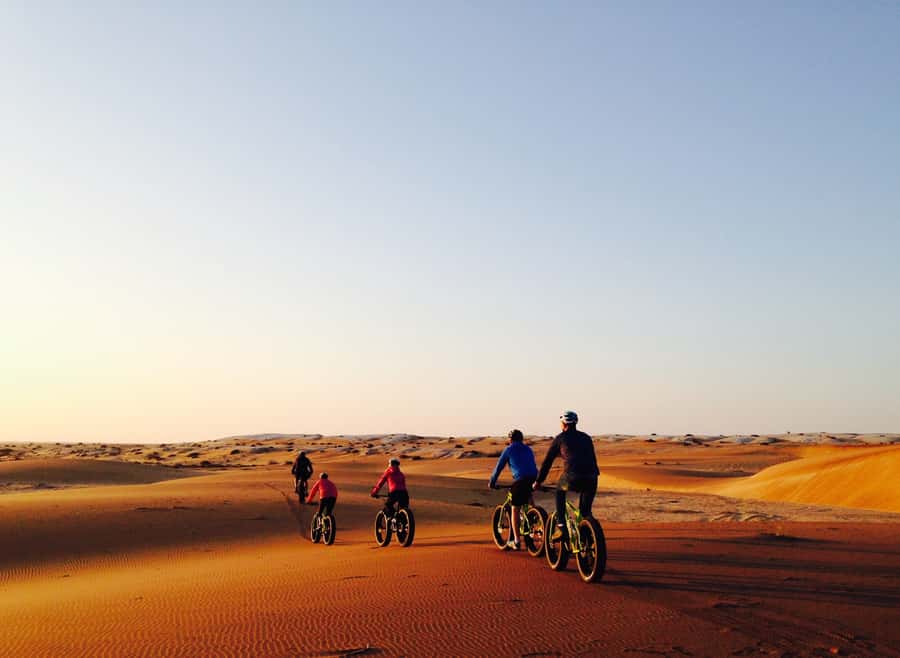 Swakopmund: Scenic Desert Bike Tour - Key points at a glance