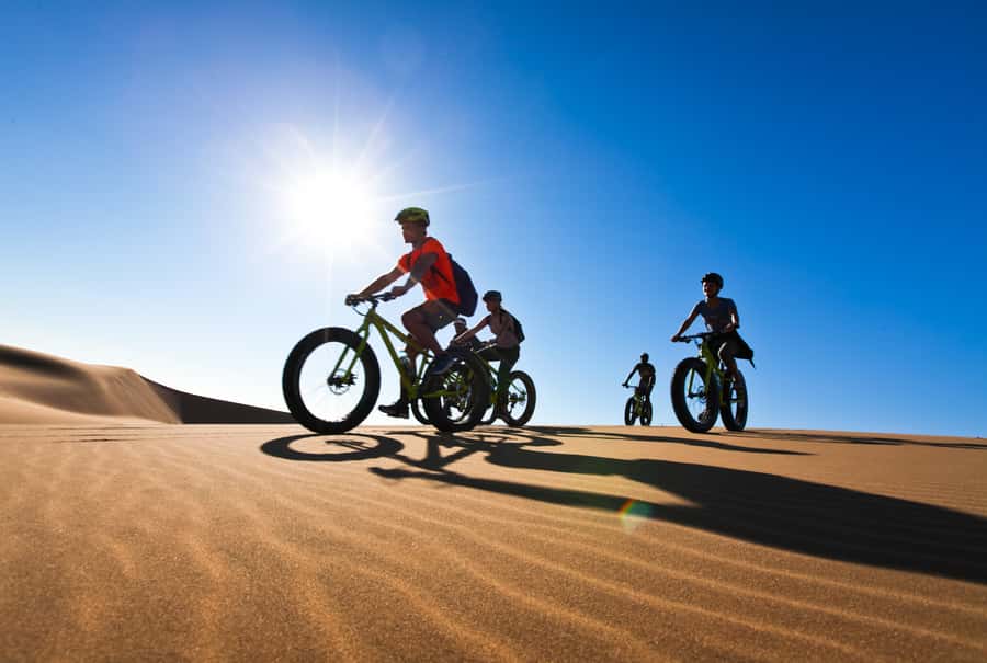 Swakopmund: Scenic Desert Bike Tour - Pedaling into the dunes