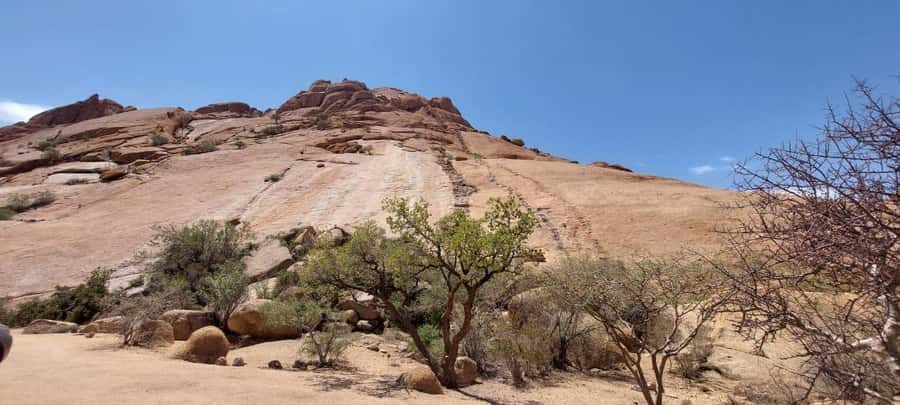 Swakopmund: Spitzkoppe Day Tour with Hotel Pickup - Why this Spitzkoppe day trip is worth considering