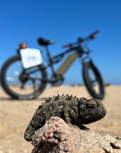 Swakopmund: "UP CLOSE" Living Desert E-FatBike Tour - Why this Swakopmund desert ride feels different