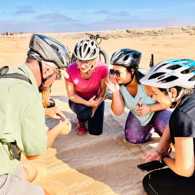 Swakopmund: "UP CLOSE" Living Desert E-FatBike Tour - Gravel plains and the Namib’s small survivors