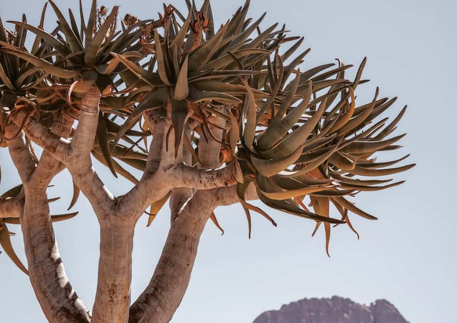 Swakopmund/Walvis Bay: Spitzkoppe Mountains - A picnic in an open cave