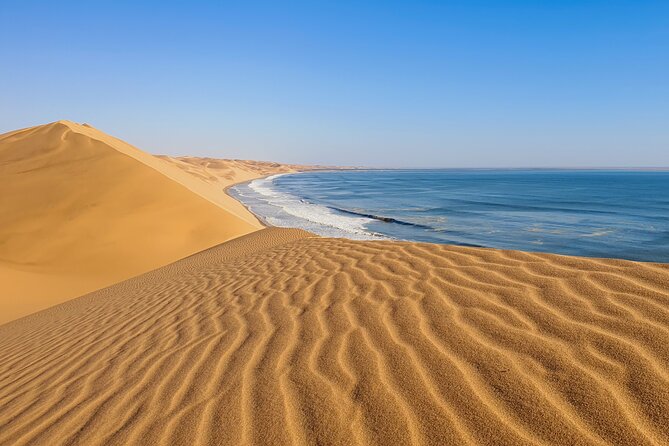 Tour to Sandwich harbour - Key points to know before booking
