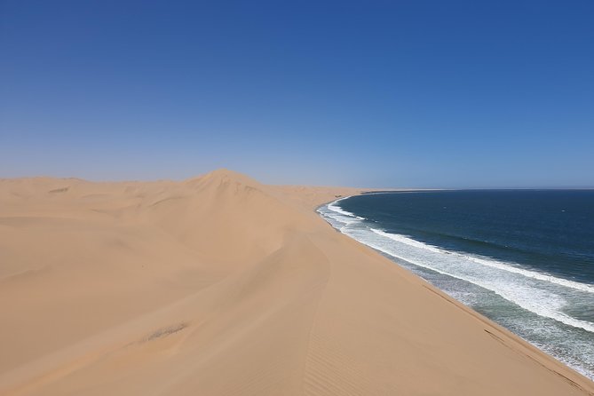 Tour to Sandwich harbour - Walvis Bay begins with birds, boats, and salt