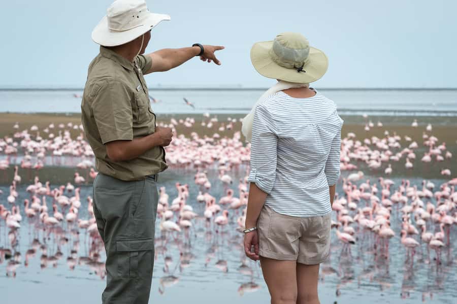 Walvis Bay: 4x4 Desert Excursion to Sandwich Harbour Bay - Starting at Walvis Bay Waterfront