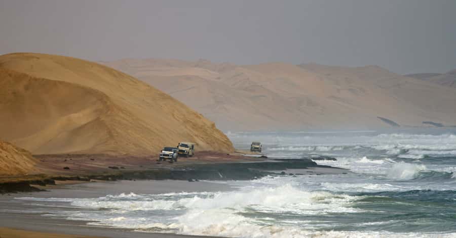 Walvis Bay: 4x4 Desert Excursion to Sandwich Harbour Bay - Flamingoes and wetlands near the lagoon