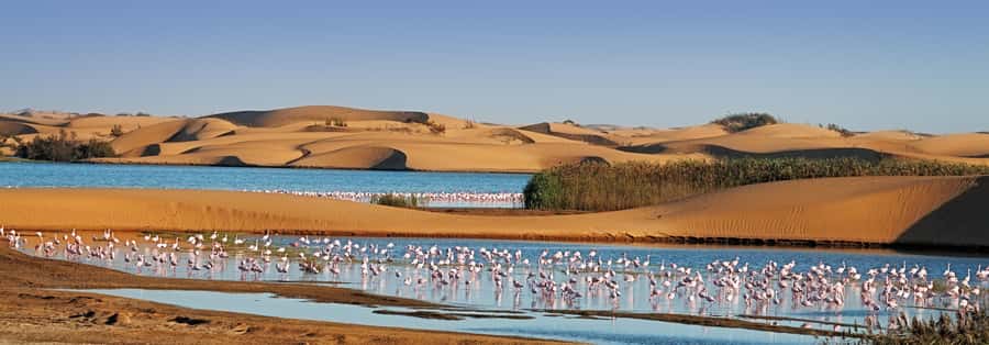 Walvis Bay and Sandwich Harbour Tour - Entering Namib-Naukluft National Park