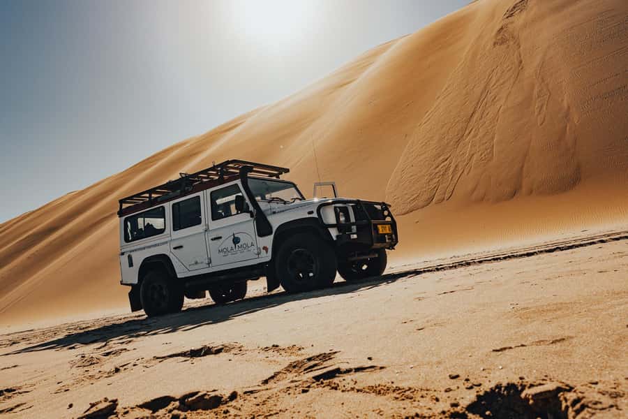 Walvis Bay: Dolphin Cruise, Pink Lakes and 4x4 Dune Drive - What makes this Walvis Bay day special