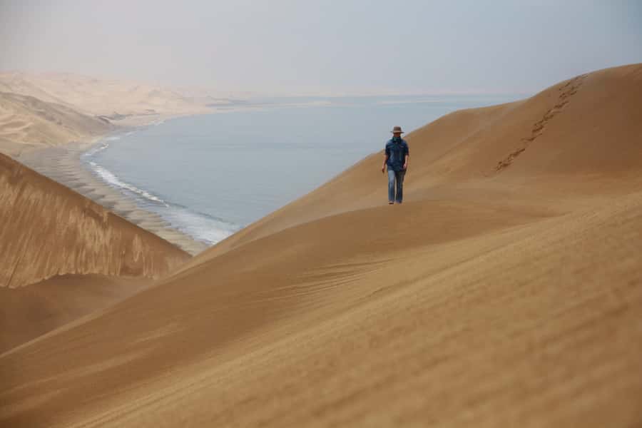 Walvis Bay: Dolphin Cruise, Pink Lakes and 4x4 Dune Drive - From sea life to salt pans