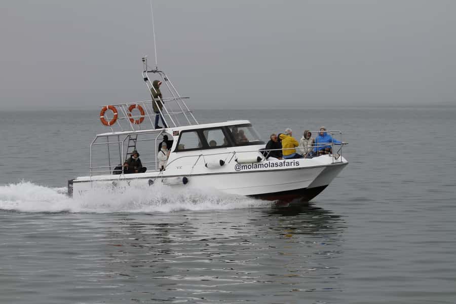 Walvis Bay: Dolphin Cruise, Pink Lakes and 4x4 Dune Drive - The 4x4 route into Sandwich Harbour