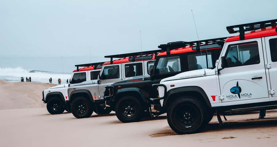 Walvis Bay: Dolphin Cruise, Pink Lakes and 4x4 Dune Drive - Lunch in the dunes