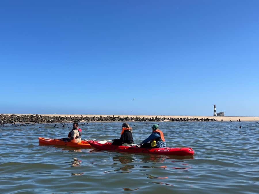 Walvis Bay: Kayaking and Sandwich Harbour Full-Day Tour - Key points at a glance