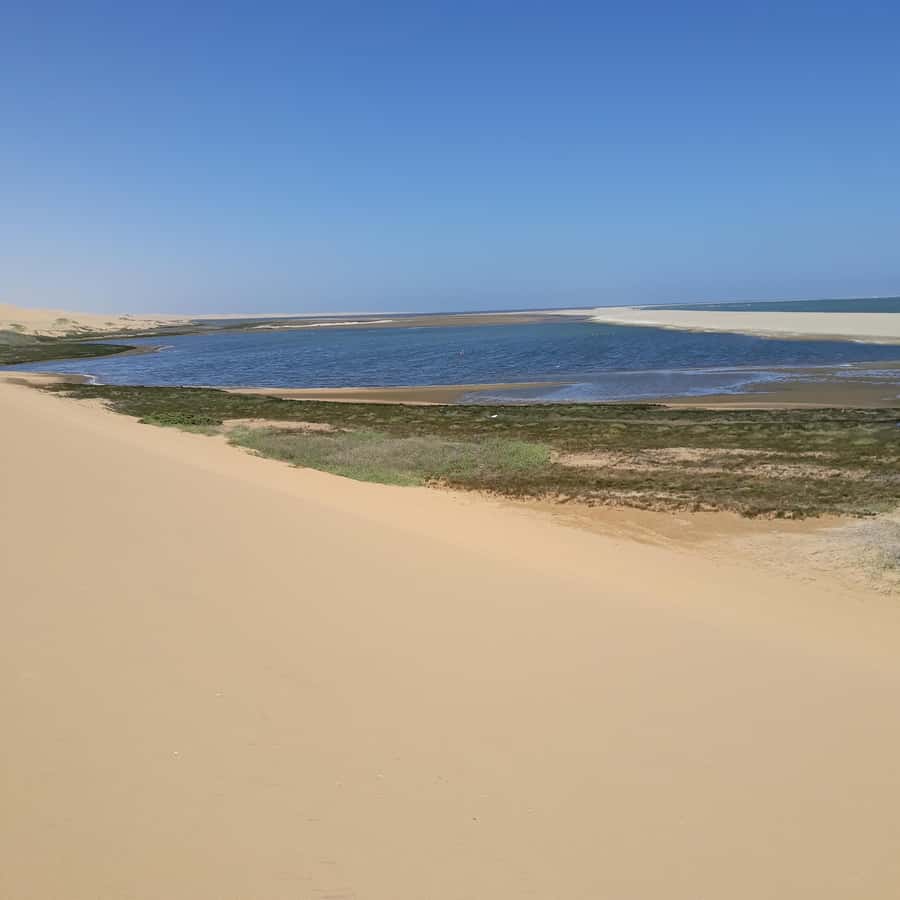 Walvis Bay: Kayaking and Sandwich Harbour Full-Day Tour - The 4x4 ride over towering dunes