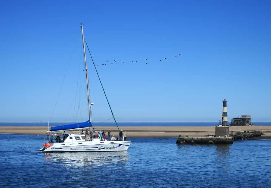 Walvis Bay: Marine Big 5 Luxury Catamaran Tour - Shipwrecks, oil rigs, and lunch on the way back