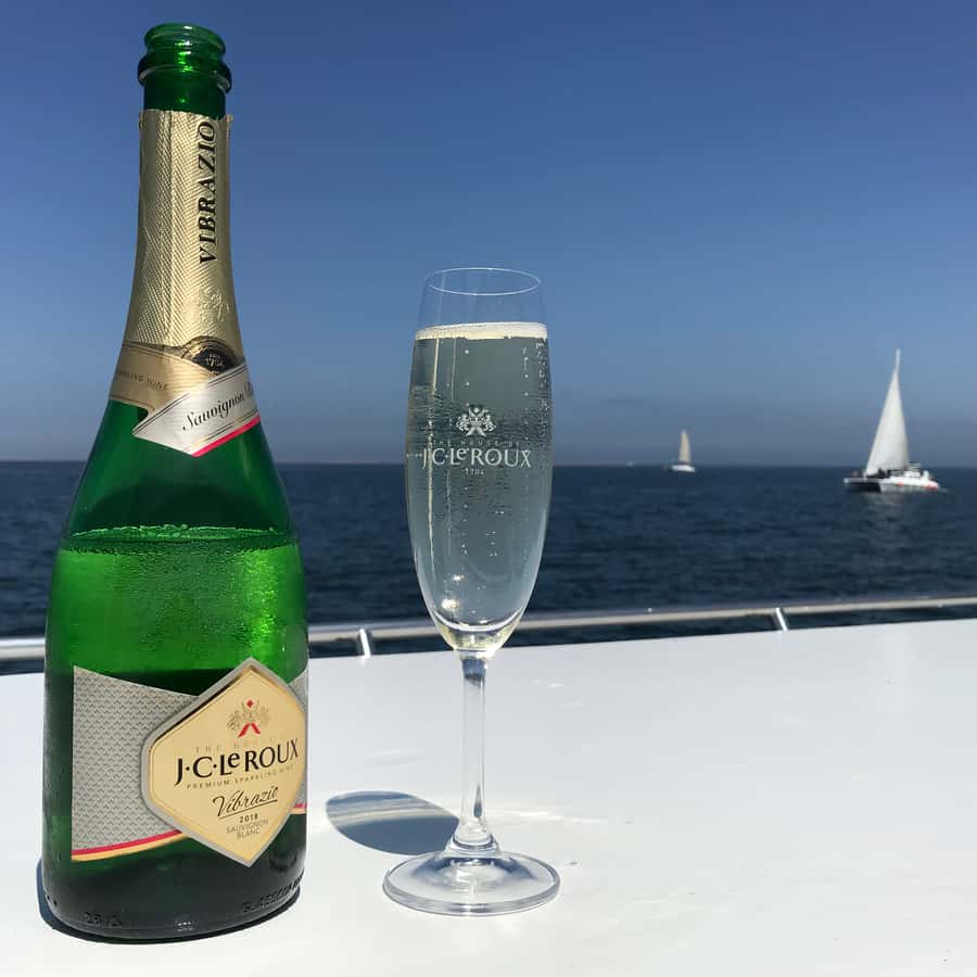 Walvis Bay: Marine Big 5 Luxury Catamaran Tour - What to bring for a comfortable morning
