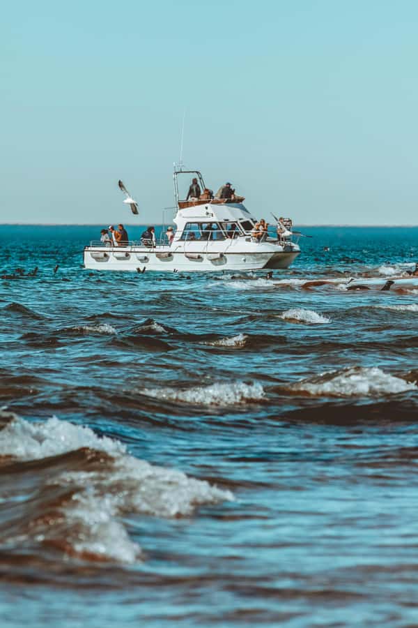 Walvis Bay: Namibian Coast Dolphin Cruise with Light Lunch - Starting beside Anchors restaurant in Walvis Bay