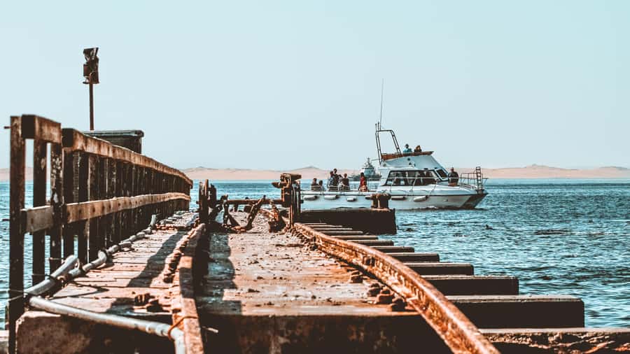 Walvis Bay: Namibian Coast Dolphin Cruise with Light Lunch - Searching for dolphins and whales offshore