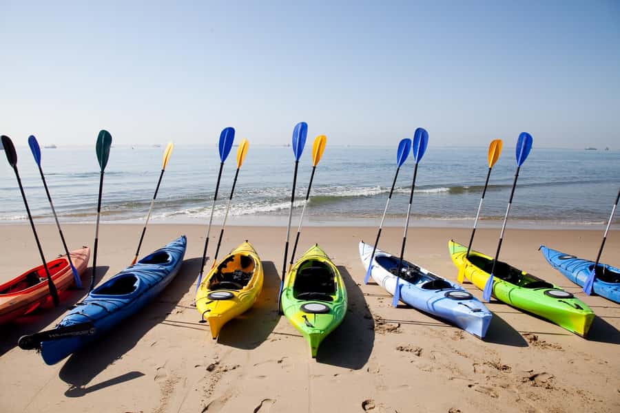 Walvis Bay: Pelican Point Kayaking Tour - Planning around the tour