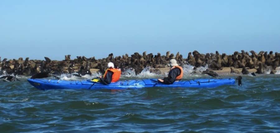 Walvis Bay: Pelican Point Kayaking Tour - Reaching the remote end of Pelican Point
