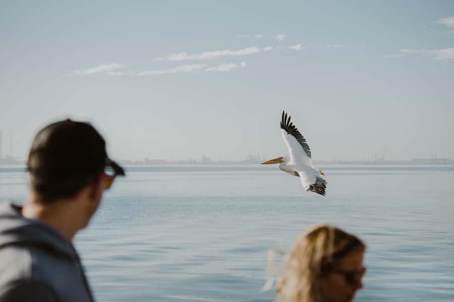 Walvis Bay: Sandwich Harbour 4x4 Trip with Beach BBQ Lunch - Pelican Point and the beach BBQ