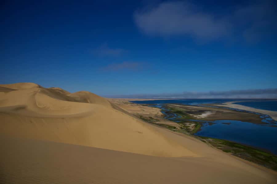 Walvis Bay: Sandwich Harbour Half-Day 4x4 Scenic Excursion - The 4x4 ride is the main event