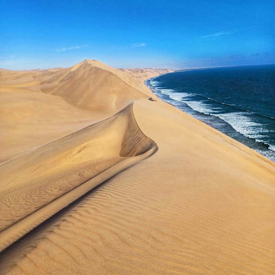 Walvis Bay: Sandwich Harbour Half-Day 4x4 Scenic Excursion - Sandwich Harbour and the Atlantic edge