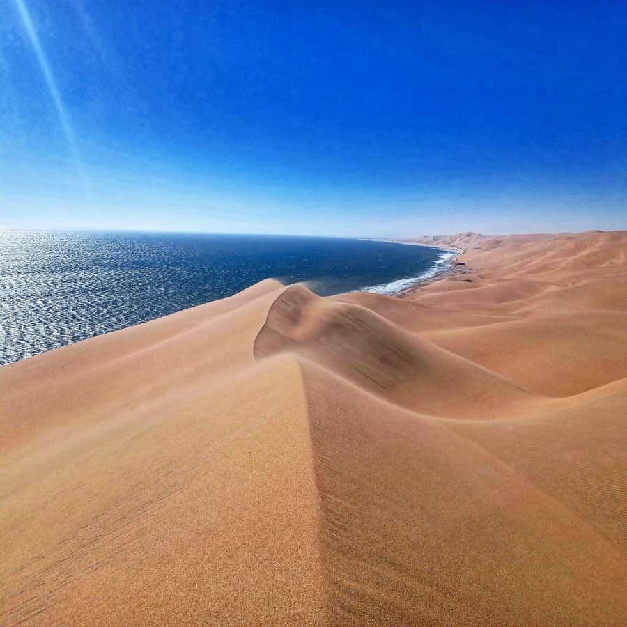Walvis Bay: Sandwich Harbour Half-Day 4x4 Scenic Excursion - Picnic lunch in the desert