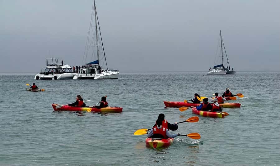 Walvis Bay: Seal Kayaking Adventure with Brunch - Clothing, equipment, and practical preparation