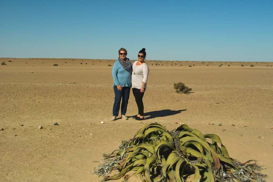 Walvis Bay Shore Excursion: Flamingos, Dune 7, Swakopmund - What the $200 price includes