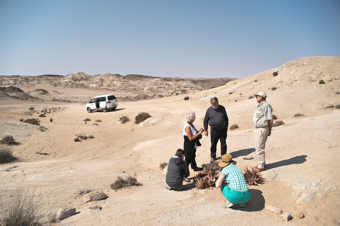 Welwitschia Tour from Swakopmund - Why the Moon Landscape is worth your afternoon