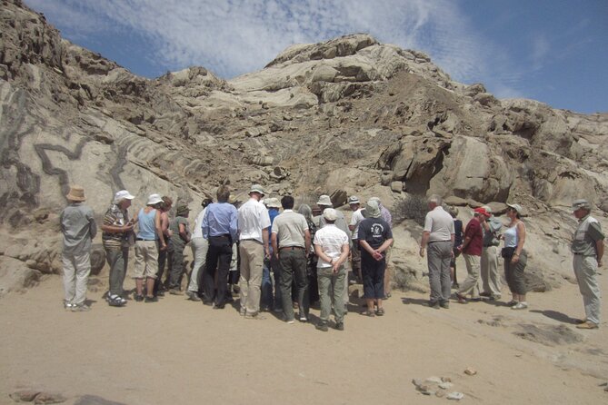 Welwitschia Tour from Swakopmund - Welwitschia and Nara plants in a harsh setting