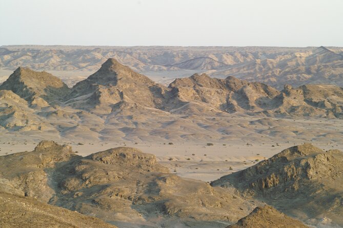 Welwitschia Tour from Swakopmund - Who should book this Swakopmund tour?