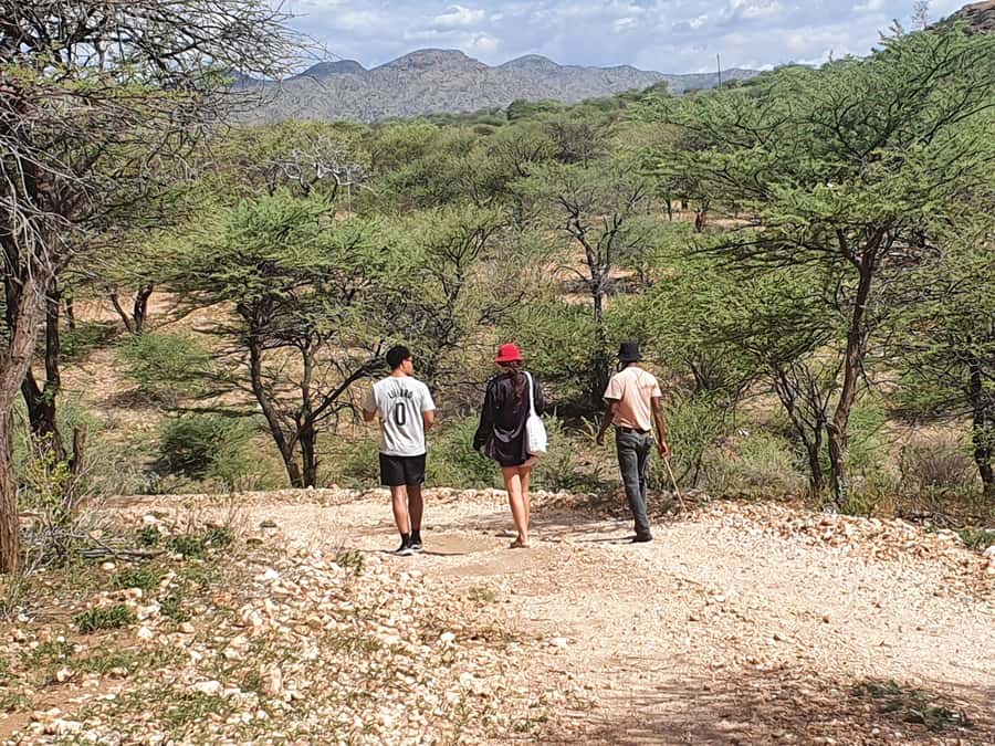 Windhoek: Bushman Walk with the San - Following an easy two-hour bush walk