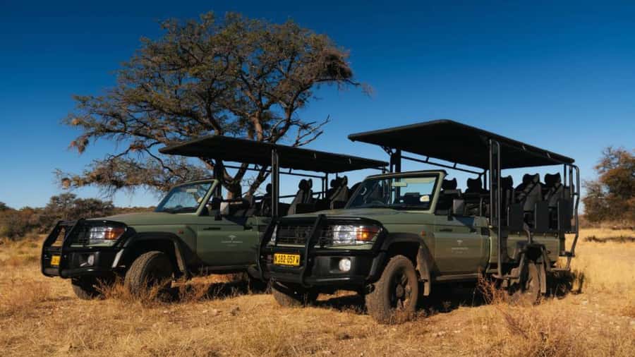 Zannier Game Drive with Hotel Pickup - Three and a half hours among Namibia’s animals